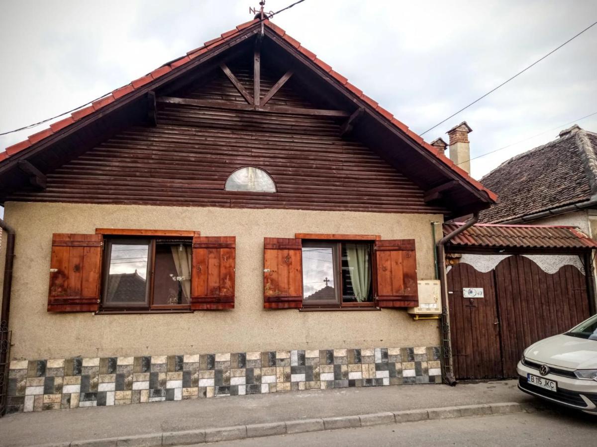 Rîşnov Home Of Art מראה חיצוני תמונה